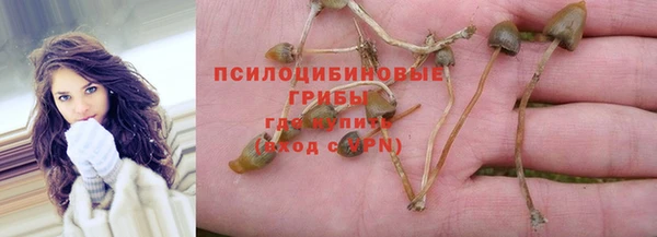 соль ск Алексин