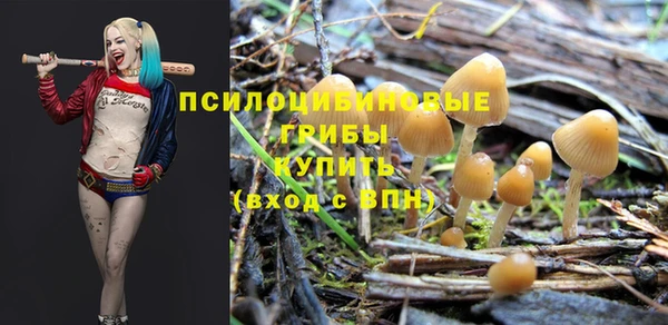 марки lsd Алексеевка