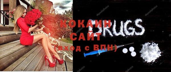 соль ск Алексин