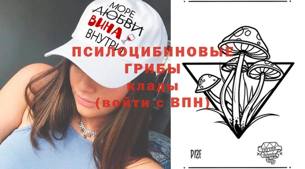 амф Алзамай