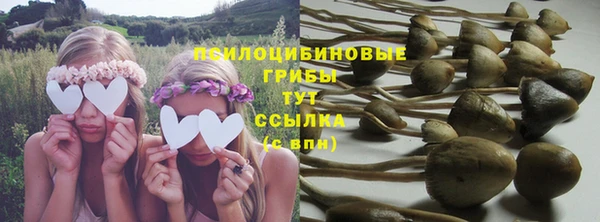 соль ск Алексин