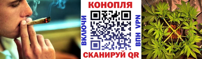Каннабис планчик  Десногорск 